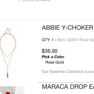 BaubleBar Jewelry - BaubleBar NWT Necklace BaubleBar Jewelry - BaubleBar NWT Necklace